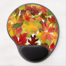 Folhas de outono do outono