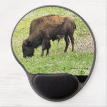 Nature Journey Bison