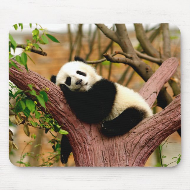Mouse Pad de Panda Bebê Dormindo (Frente)