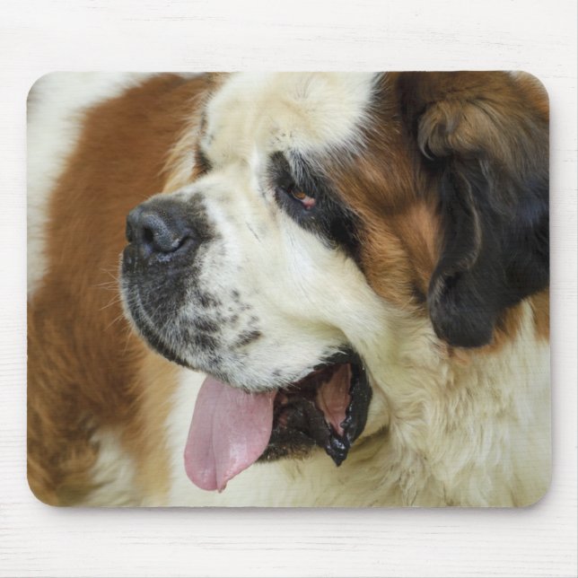 mouse pad do santo (Frente)