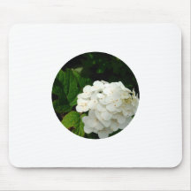 Mouse Pad Flor Silvestre