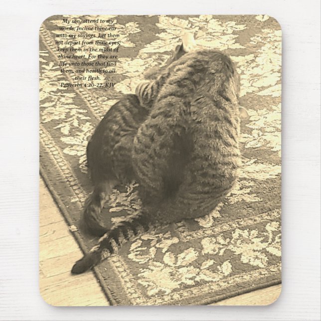 Mouse Pad Gato Ajudando Gatinho (Frente)