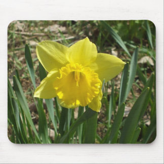 Mouse Pad Narciso Amarelo Brilhante dos Avós