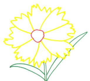 mousepads desenho da flor zazzle com br