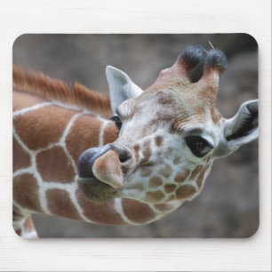 Mouse pads da língua do girafa