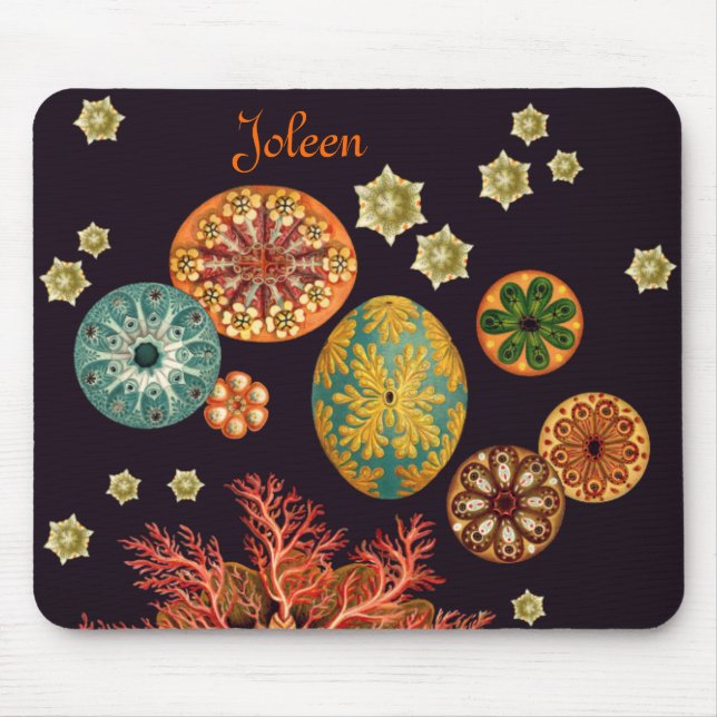 Mouse Remix Mousepad do Esguicho-do-mar (Frente)