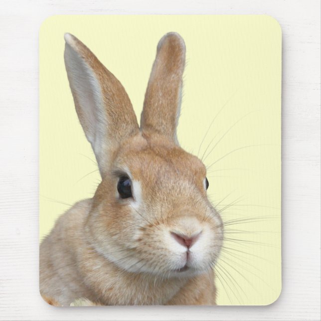 MOUSEPAD ウサギの顔 (Frente)
