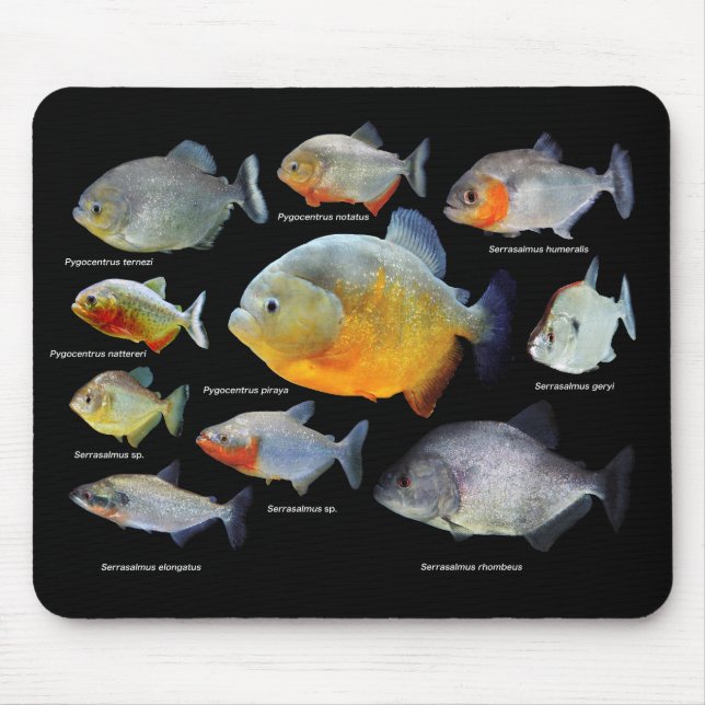 MOUSEPAD ピ ラ ニ ア の 製 品 (Frente)