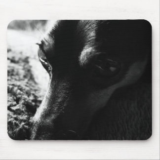 MOUSEPAD ミニチュアピンシャー マウスパッド