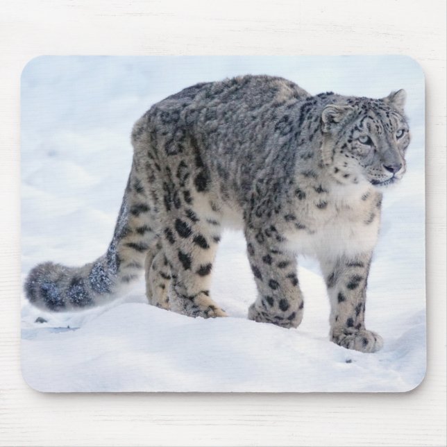 MOUSEPAD ユキヒョウ (Frente)