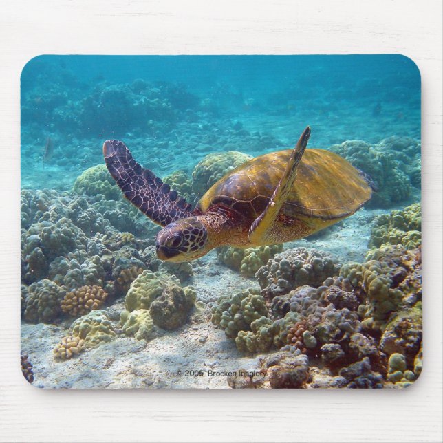 MOUSEPAD 海亀 (Frente)