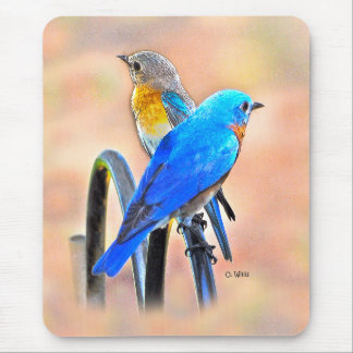 Mousepad 010 tapete do rato do amor 7.75x9.25 do Bluebird