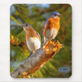 Mousepad 040 tapete do rato do corte 7.75x9.25 do Bluebird