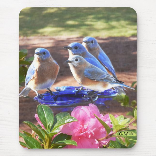 Mousepad 050 dos Bluebirds tapete do rato para sempre (Frente)
