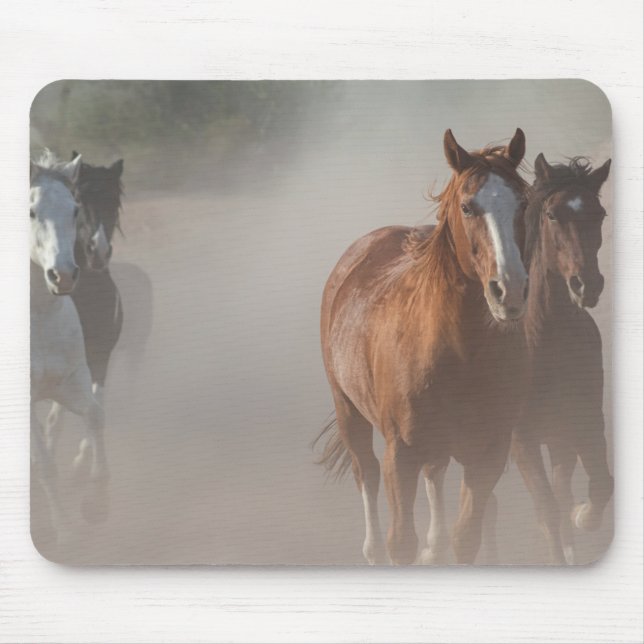 Mousepad 0800-Wild Mustangs Running (Frente)