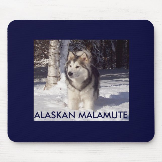 MOUSEPAD 100_5815, MALAMUTE DO ALASCA (Frente)