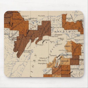 Mousepad 110 Febre tifoide Michigan