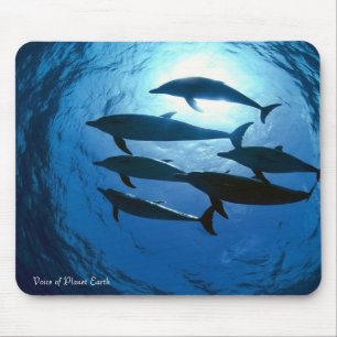 Mousepad 14 - Golfinhos