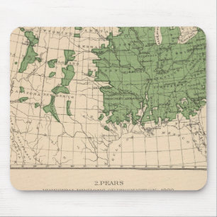 Mousepad 174 Maçãs, peras, regiões principais