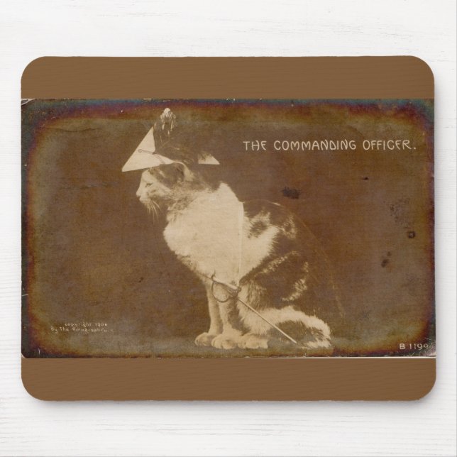 Mousepad 1906 O Comandante vestiu a gata RPPC (Frente)