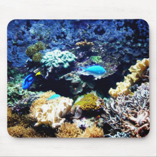 Mousepad 1 do tanque da água salgada