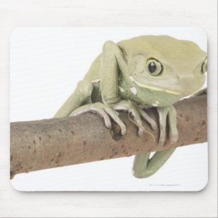MOUSEPAD 23568119