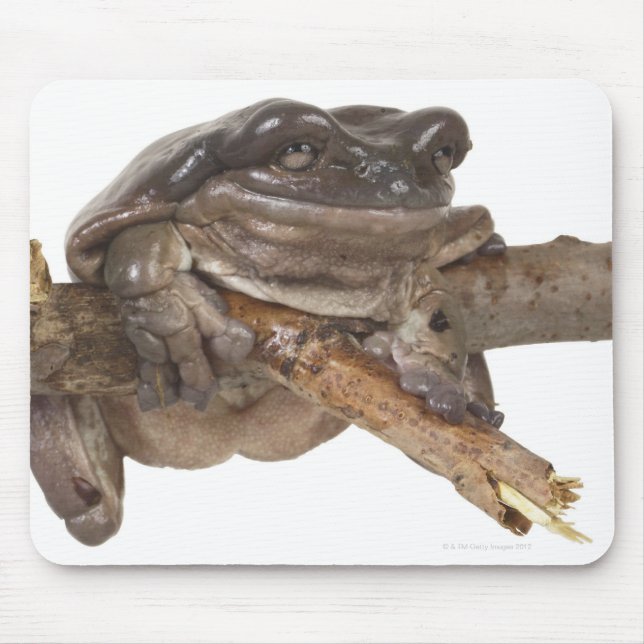 MOUSEPAD 23568138 (Frente)