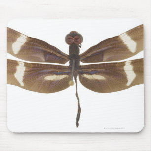 MOUSEPAD 23599152
