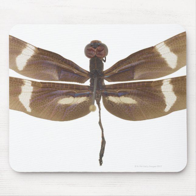 MOUSEPAD 23599152 (Frente)