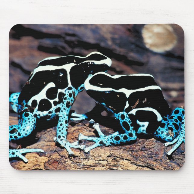 MOUSEPAD 23898179 (Frente)