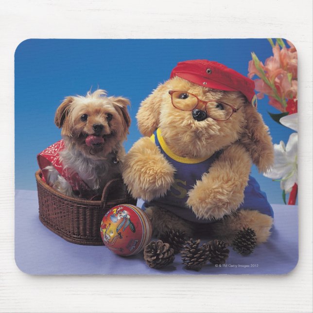 MOUSEPAD 24095241 (Frente)