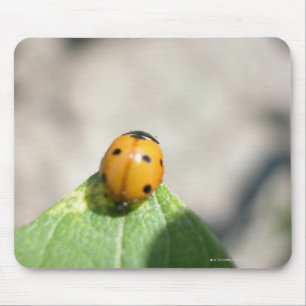 MOUSEPAD 24102386