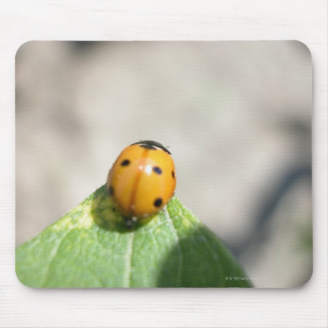 MOUSEPAD 24102386 (Frente)