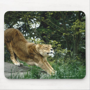 MOUSEPAD 24114343