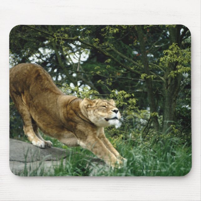 MOUSEPAD 24114343 (Frente)