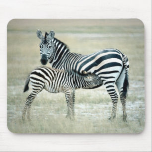 MOUSEPAD 24114480