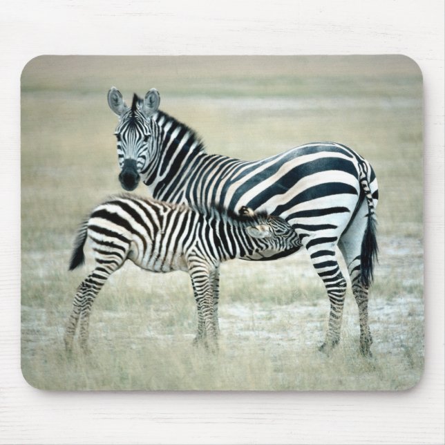 MOUSEPAD 24114480 (Frente)