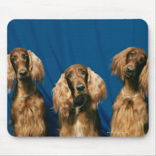 MOUSEPAD 24119671