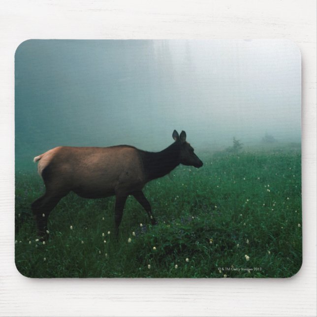 MOUSEPAD 24121885 (Frente)