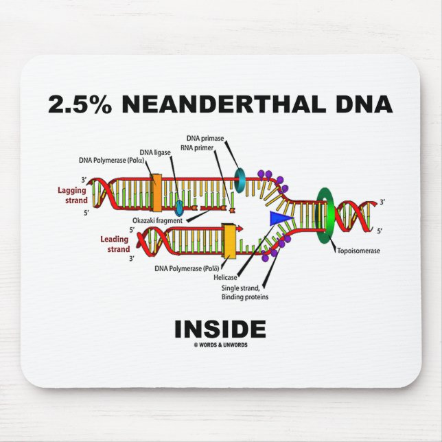 Mousepad 2,5% de Replicação de DNA Dentro do Neandertal (Frente)
