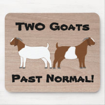 2 Caprinos Passaram do Normal! - Caprinos De Carne