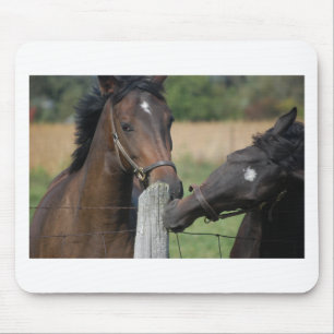 Mousepad 2 Cavalos mascando um Posto de cerca