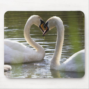 Mousepad 2 Cisnes sobre a água