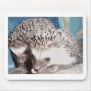 Mousepad 2 ouriços bonitos