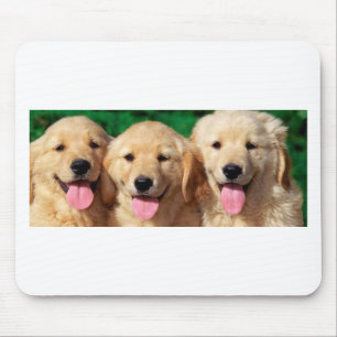 Mousepad 3 amigo