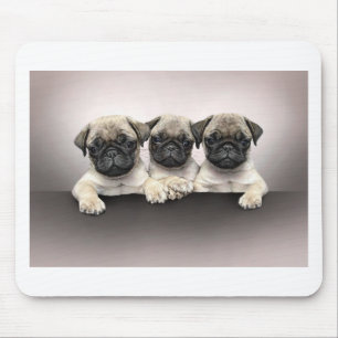 Mousepad 3 Pug bonito Pippies