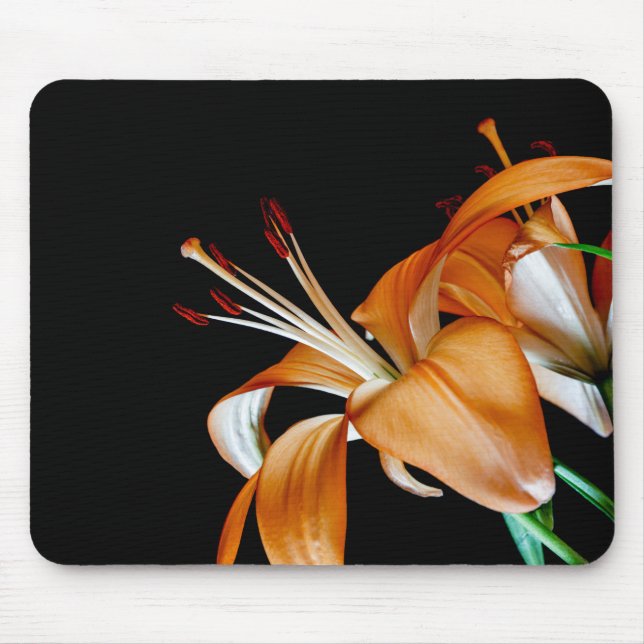 Mousepad 4464-Fechamento das Moscas Laranja (Frente)