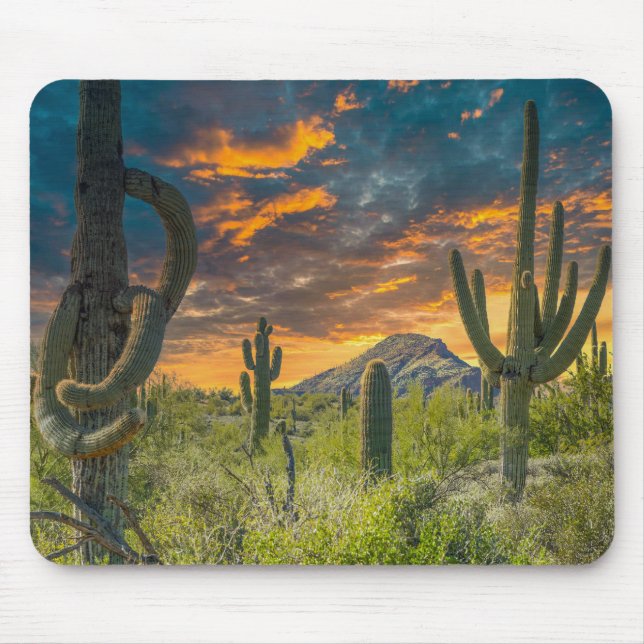 Mousepad 4792-2-Spur Cross Ranch, Cave Creek, Arizona (Frente)