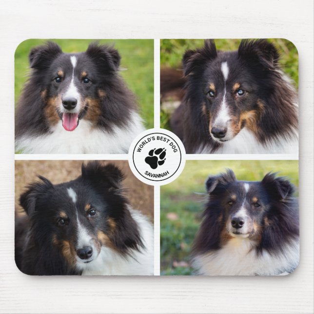 Mousepad 4 Modelo de Colagem de Fotos de Animais de Estimaç (Frente)