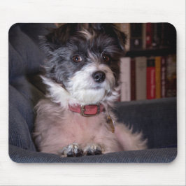 Mousepad 5328-Feliz Anna, o cão Papijack